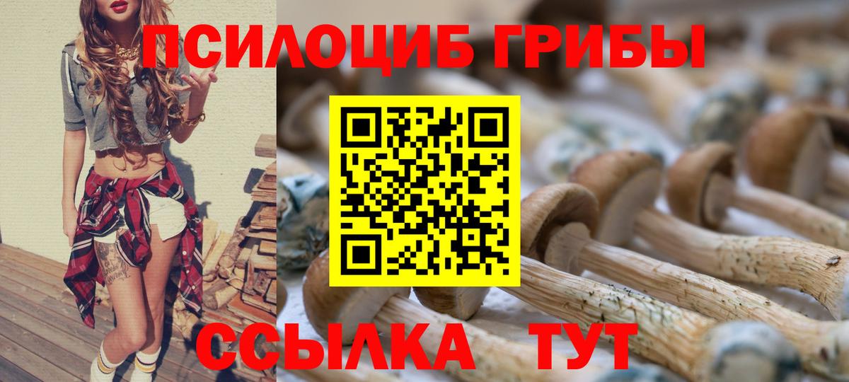 Псилоцибиновые грибы Psilocybe Кушва