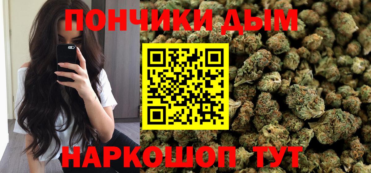 Канабис планчик Кушва